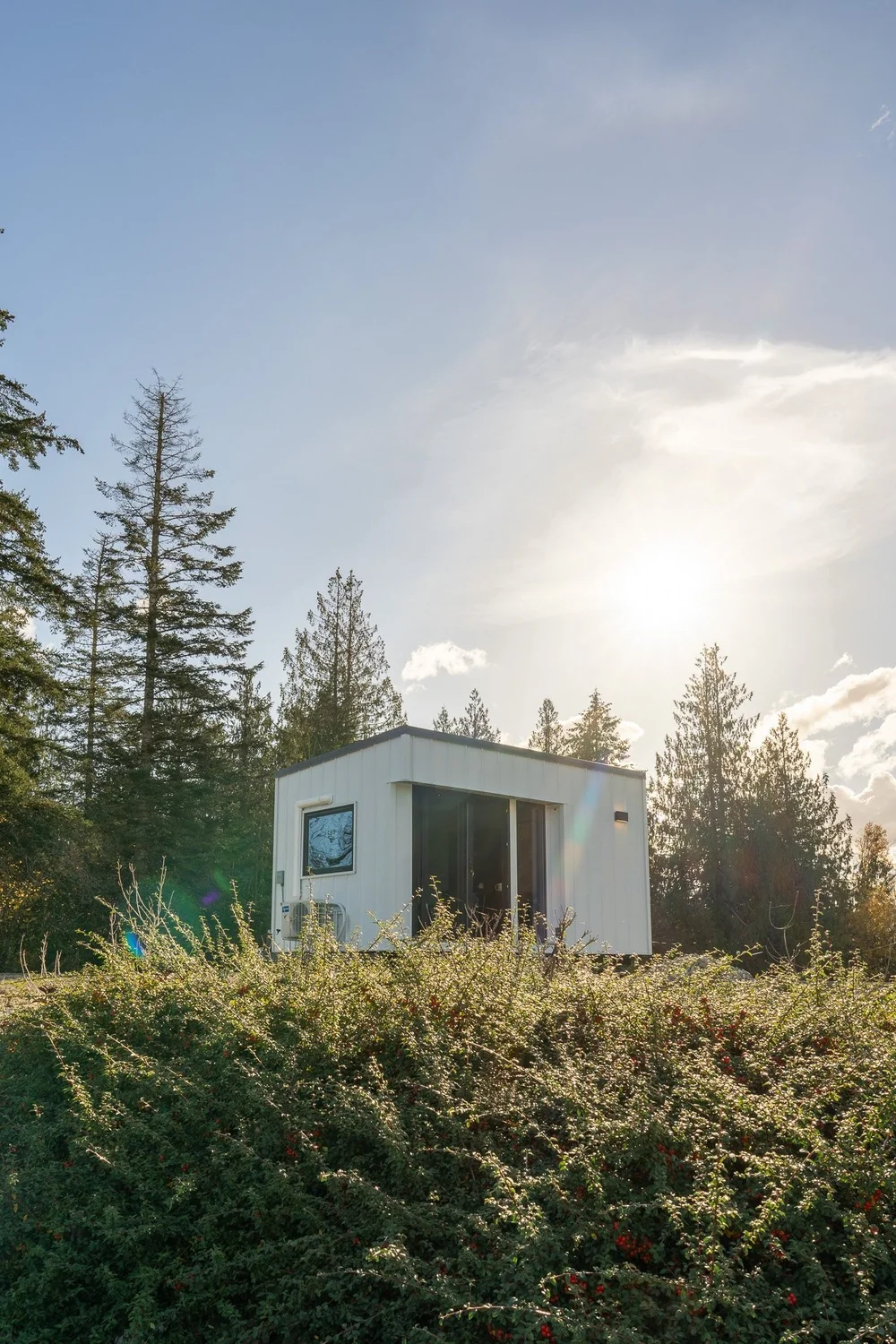 Compact backyard office shed for remote work